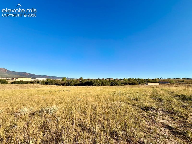 505 Struthers Loop, Colorado Springs, CO 80921