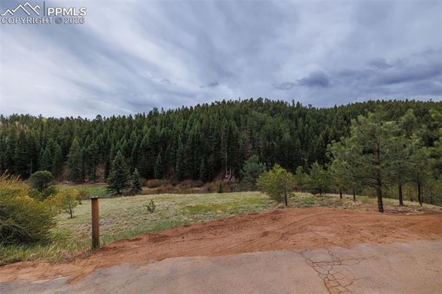 521 University Dr, Woodland Park, CO 80863