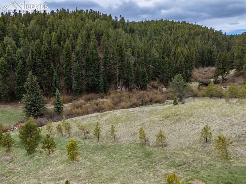 521 University Dr, Woodland Park, CO 80863