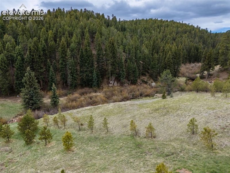 521 University Dr, Woodland Park, CO 80863