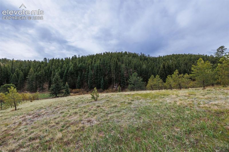 521 University Dr, Woodland Park, CO 80863