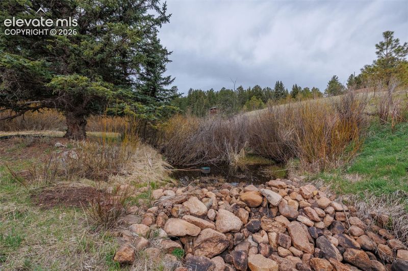 521 University Dr, Woodland Park, CO 80863