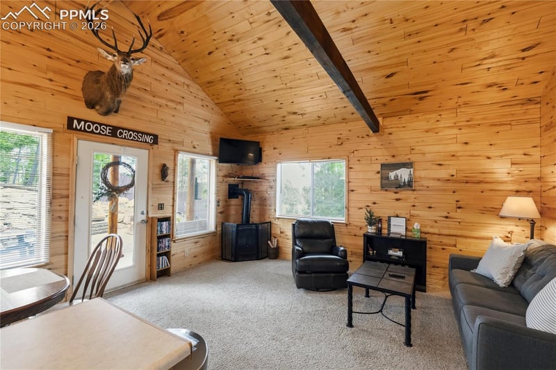 526 Wakanda Trl, Woodland Park, CO 80863