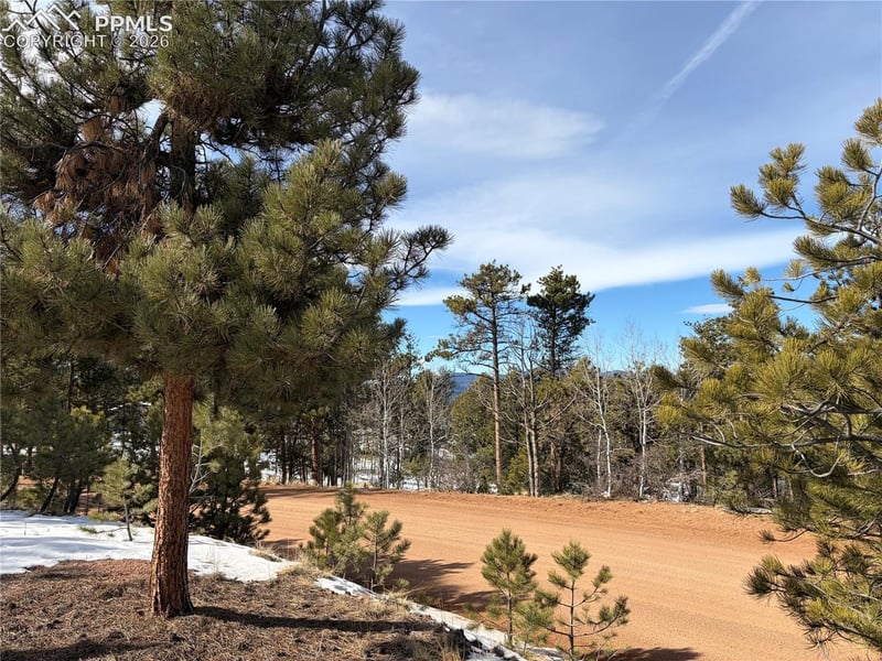 530 Columbine Rd, Florissant, CO 80816