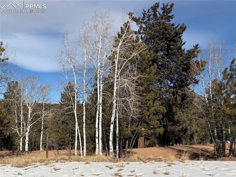 530 Columbine Rd, Florissant, CO 80816