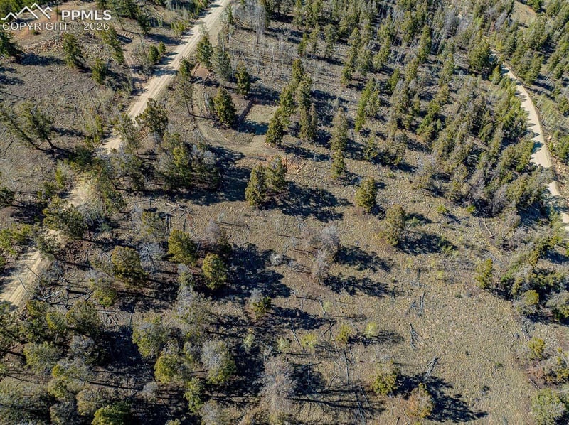 5302 Middle Fork Vi, Fairplay, CO 80440