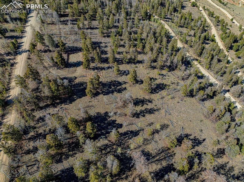 5302 Middle Fork Vi, Fairplay, CO 80440