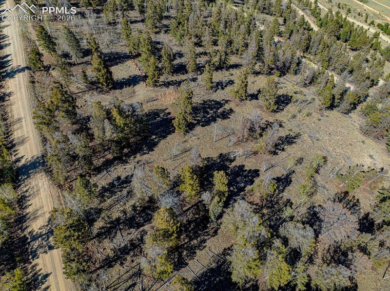 5302 Middle Fork Vi, Fairplay, CO 80440