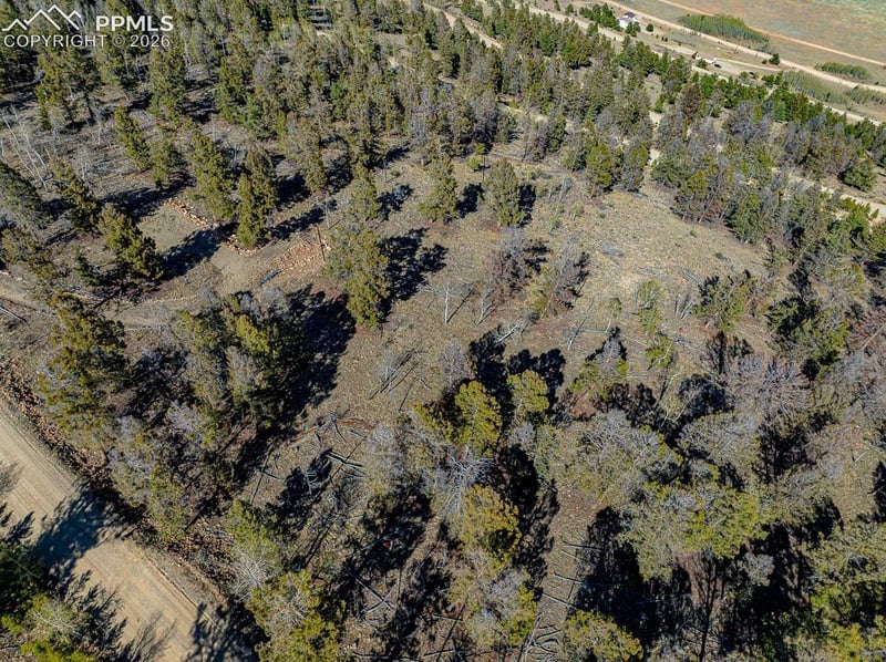 5302 Middle Fork Vi, Fairplay, CO 80440