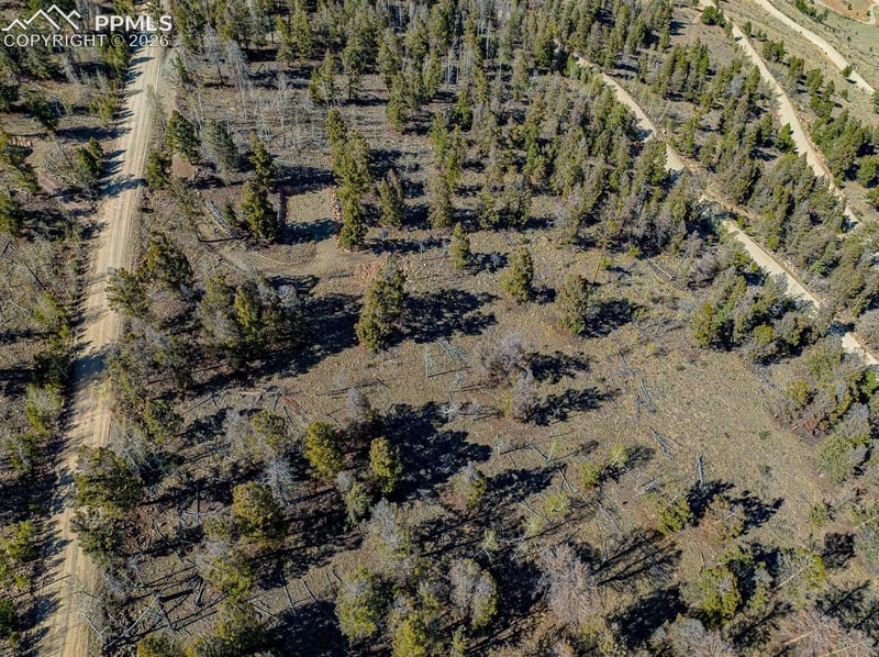 5302 Middle Fork Vi, Fairplay, CO 80440