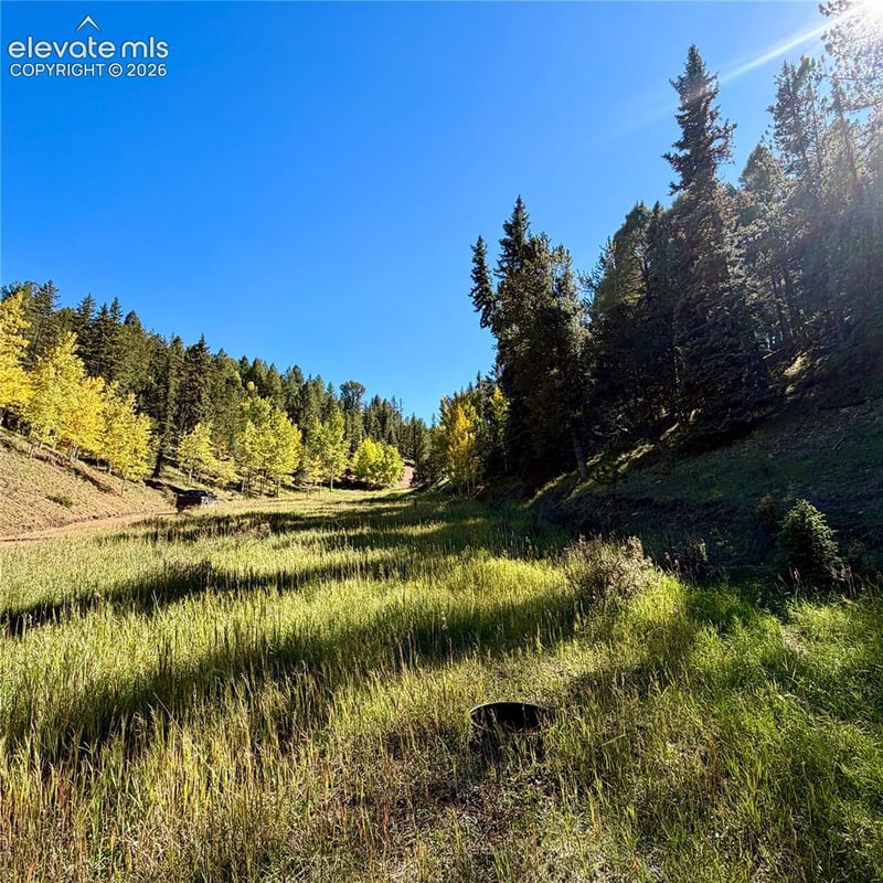 535 Willow Rd, Divide, CO 80814