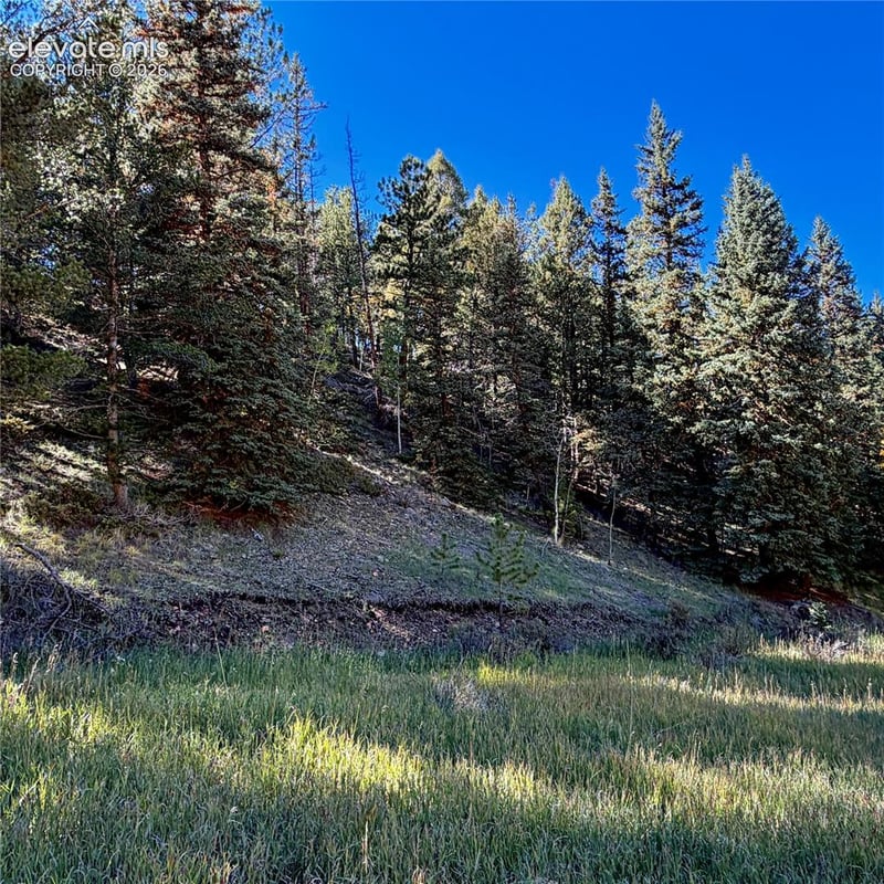 535 Willow Rd, Divide, CO 80814