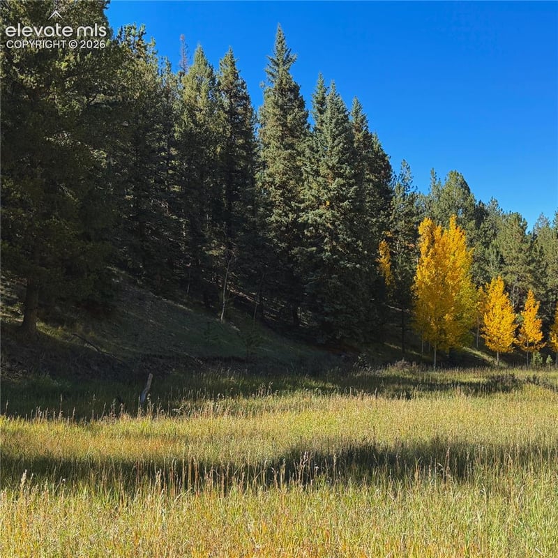 535 Willow Rd, Divide, CO 80814