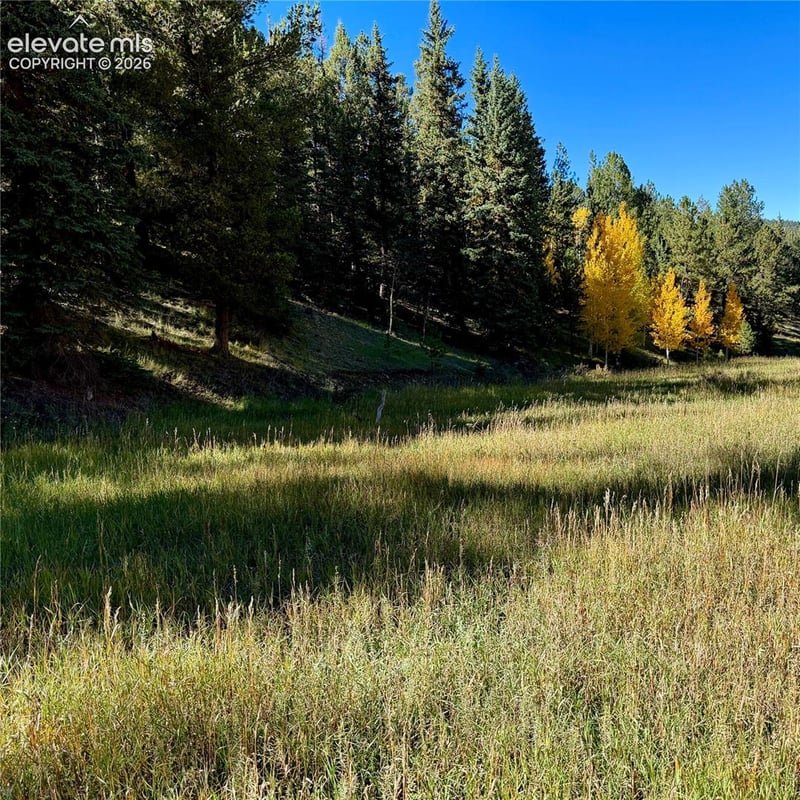 535 Willow Rd, Divide, CO 80814