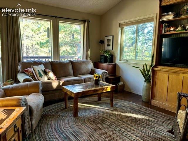 540 Greenway Ct, Woodland Park, CO 80863