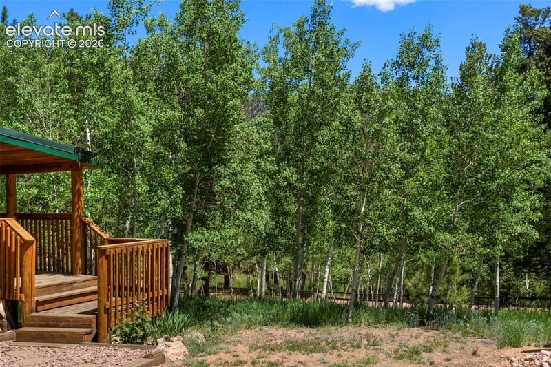 546 Pulver Rd, Lake George, CO 80827