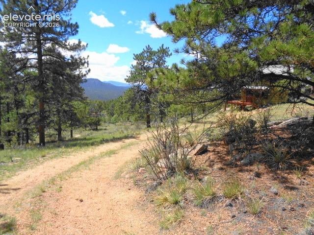 549 Circle Dr, Florissant, CO 80816