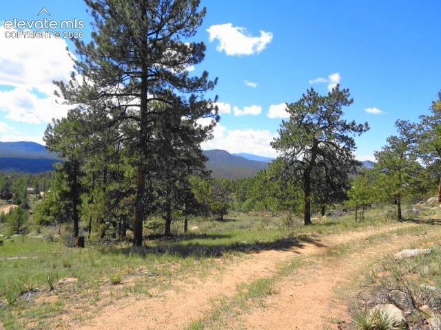 549 Circle Dr, Florissant, CO 80816