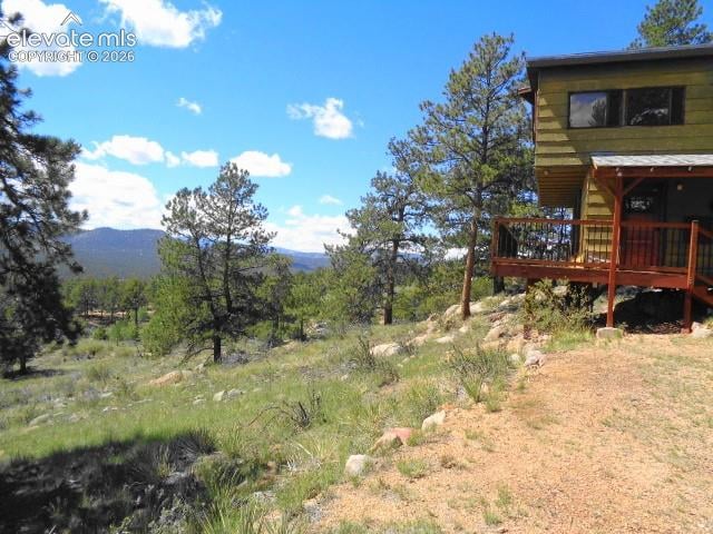 549 Circle Dr, Florissant, CO 80816