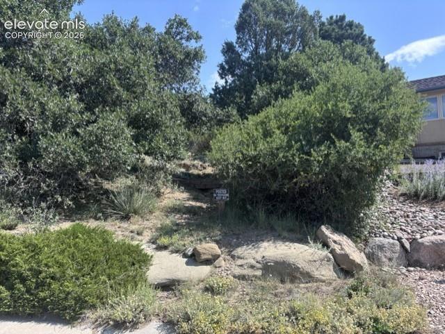 5535 Canvasback Ct, Colorado Springs, CO 80918