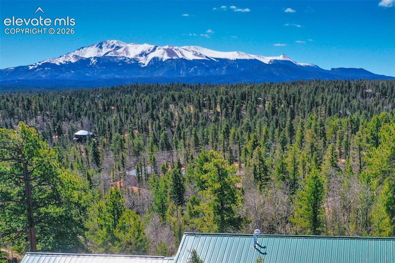 5542 North Rd, Divide, CO 80814