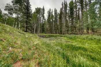 5544 County Road 5 Rd, Divide, CO 80814