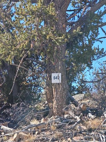 5585 Middle Fork Vi, Fairplay, CO 80440