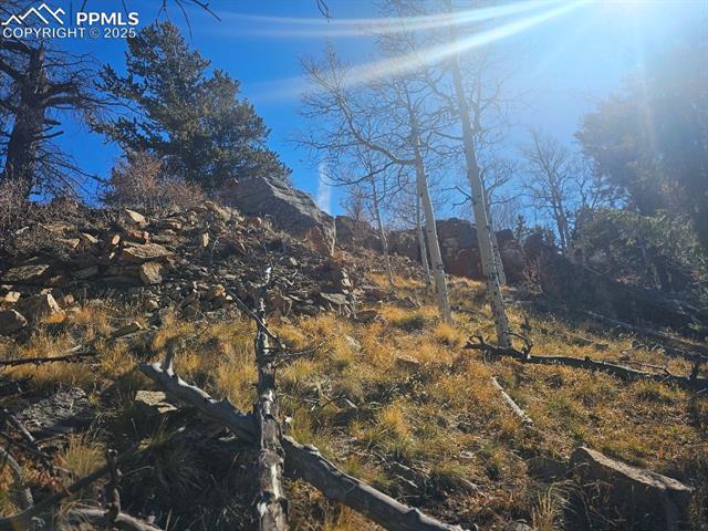 5585 Middle Fork Vi, Fairplay, CO 80440