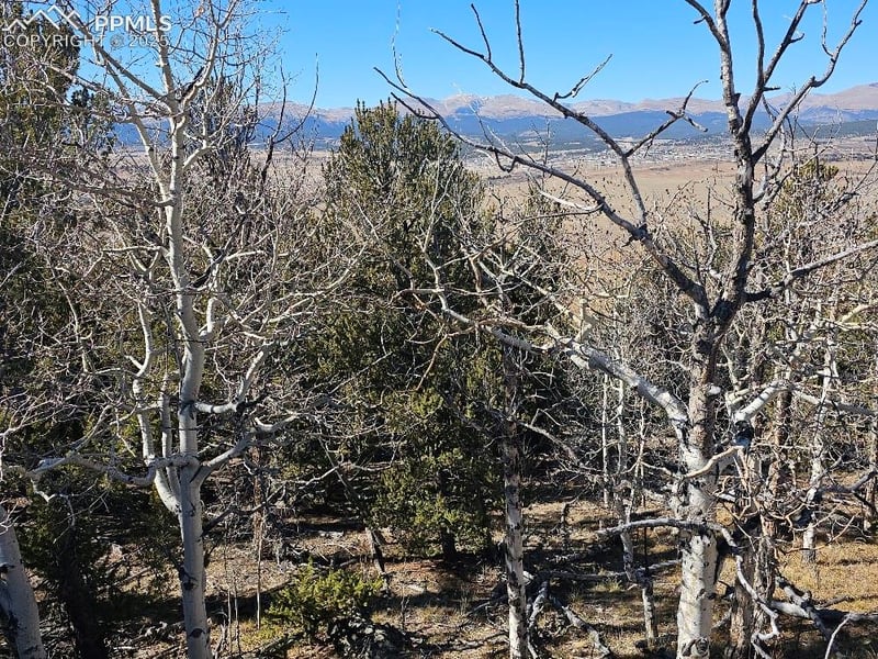 5585 Middle Fork Vi, Fairplay, CO 80440