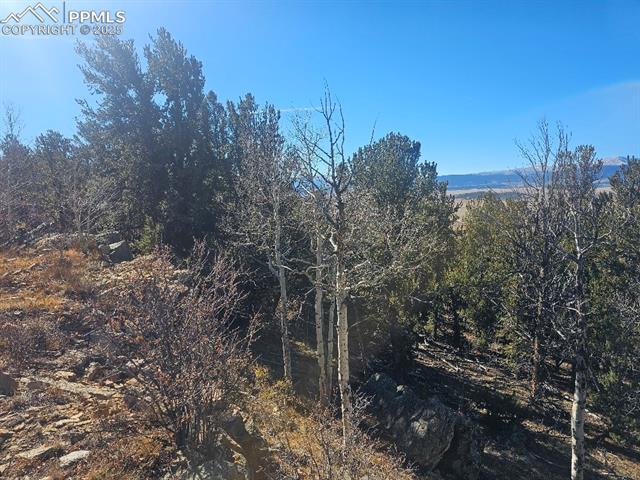 5585 Middle Fork Vi, Fairplay, CO 80440