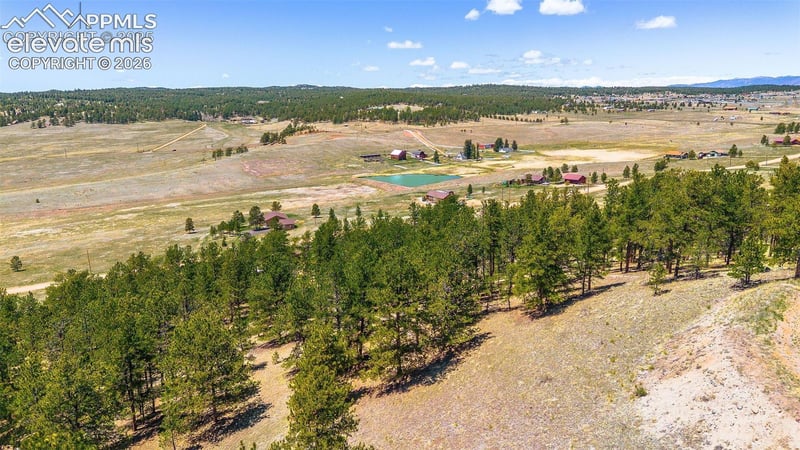 56 Dallas Park Cir, Florissant, CO 80816
