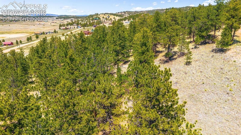 56 Dallas Park Cir, Florissant, CO 80816