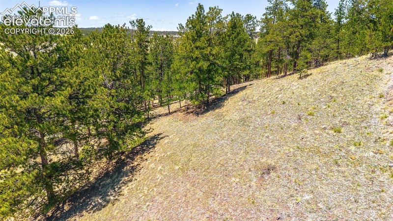 56 Dallas Park Cir, Florissant, CO 80816