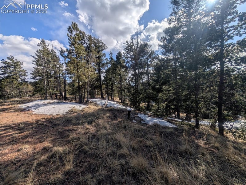 56 Rampart Cir, Florissant, CO 80816
