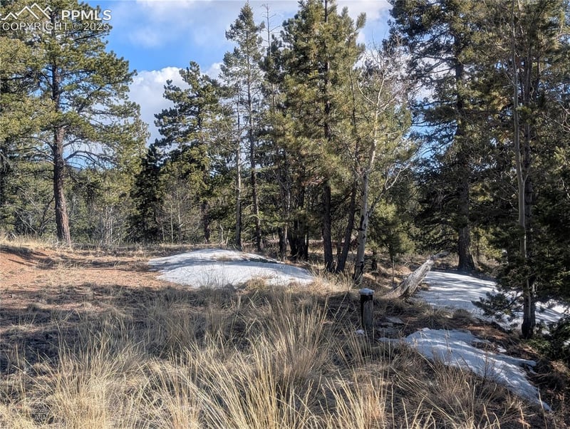56 Rampart Cir, Florissant, CO 80816