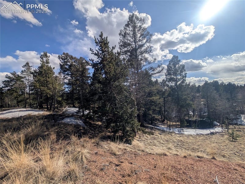 56 Rampart Cir, Florissant, CO 80816