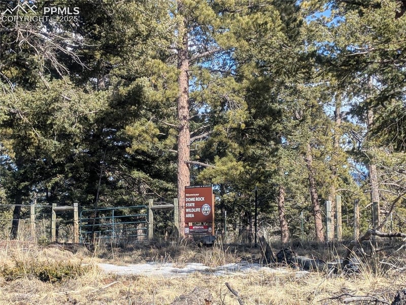 56 Rampart Cir, Florissant, CO 80816