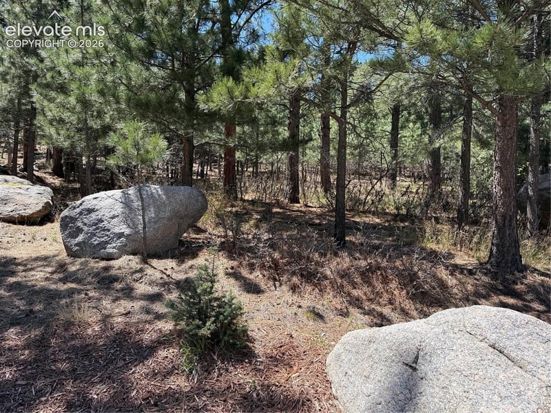 5630 Jarman St, Colorado Springs, CO 80906