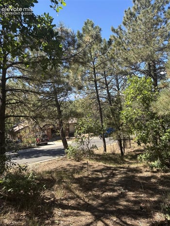 5831 Spurwood Ct, Colorado Springs, CO 80918
