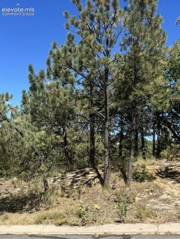 5831 Spurwood Ct, Colorado Springs, CO 80918
