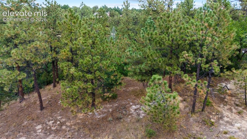 5831 Spurwood Ct, Colorado Springs, CO 80918