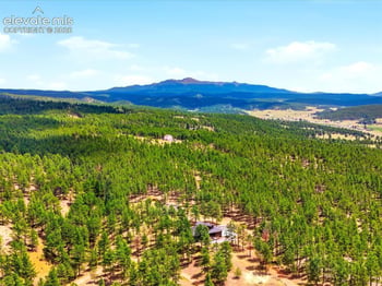 584 Pikes Peak Dr, Divide, CO 80814