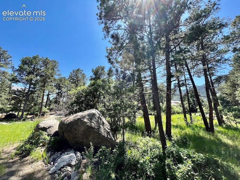 584 Silver Oak Grv, Colorado Springs, CO 80906
