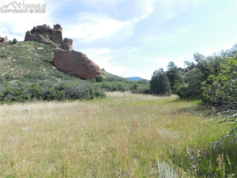 5967 Country Club Dr, Larkspur, CO 80118