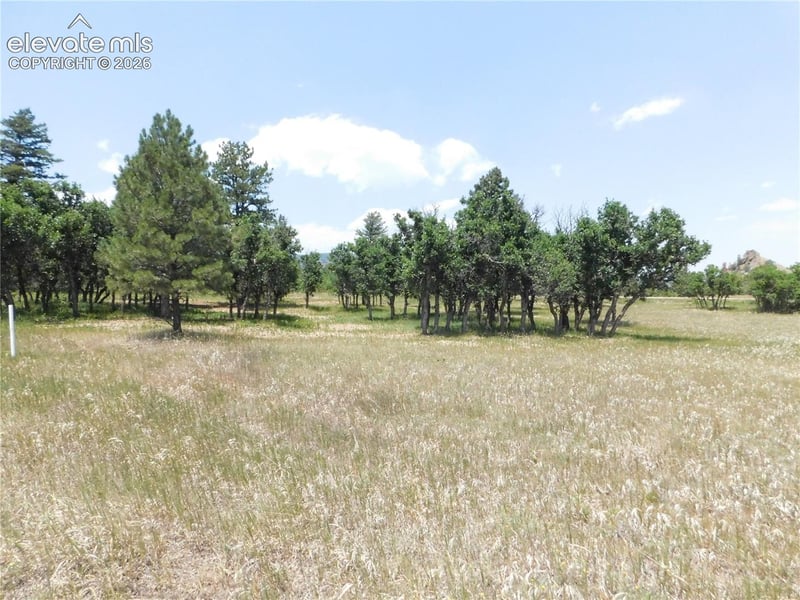 5980 Country Club Dr, Larkspur, CO 80118