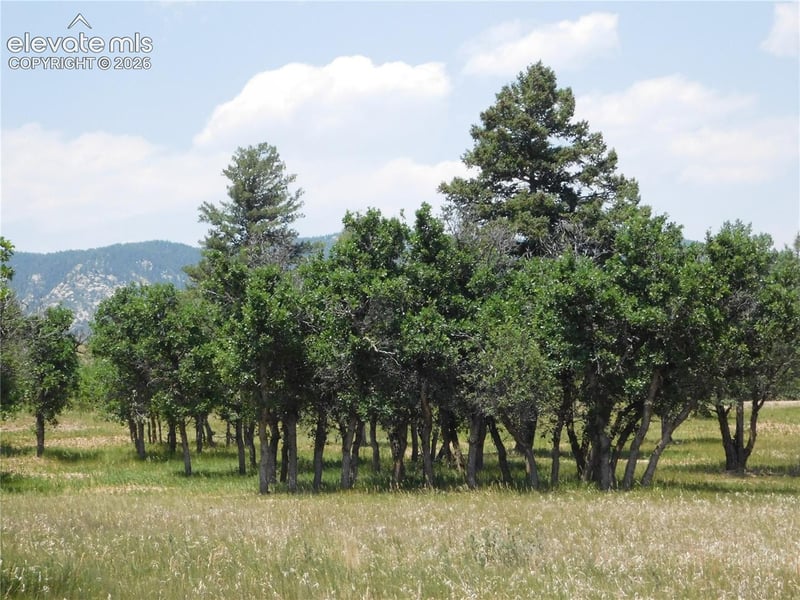 5980 Country Club Dr, Larkspur, CO 80118