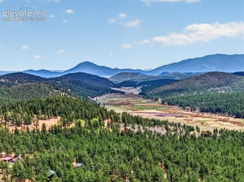 599 Vigilante Ave, Bailey, CO 80421