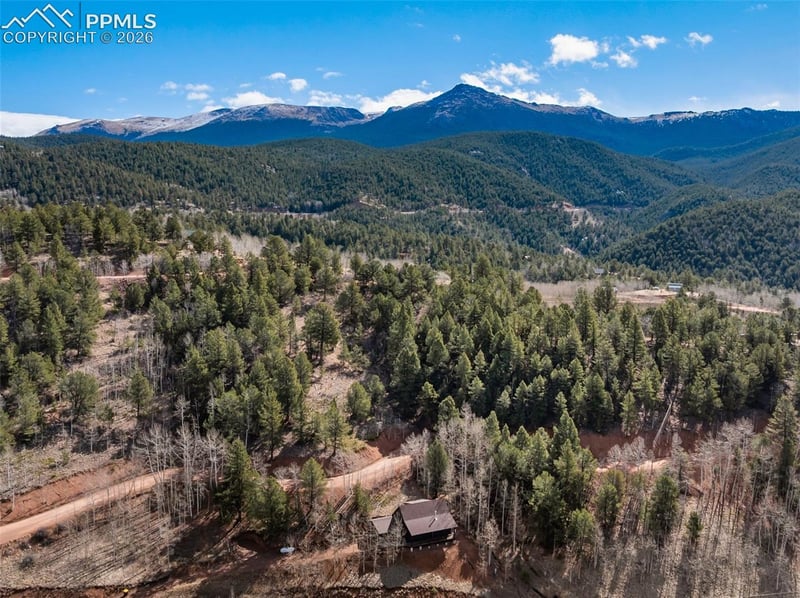 60 Beaver Pond Rd, Divide, CO 80814
