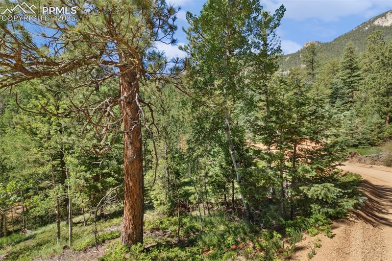 6050 Coffee Pot Rd, Manitou Springs, CO 80829