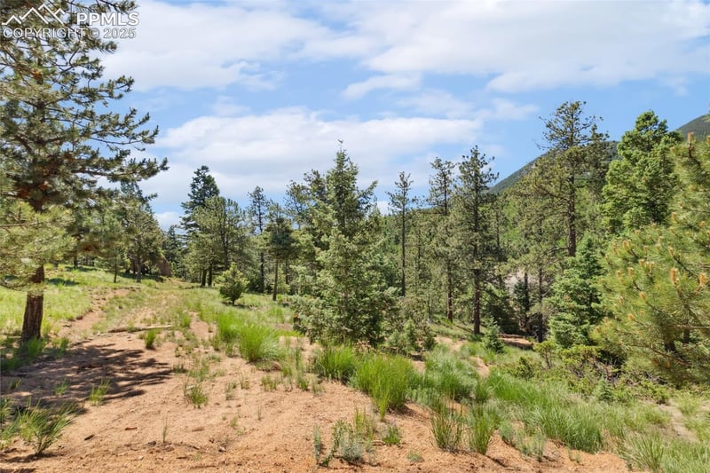 6050 Coffee Pot Rd, Manitou Springs, CO 80829